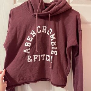 Abercrombie and Fitch Crop top hoodie